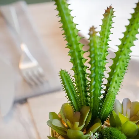 Panzió Corte Maggiore Ravenna