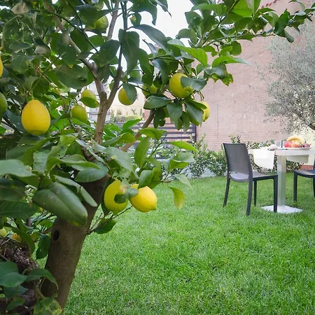 Bed and breakfast Corte Maggiore