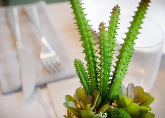 Bed & Breakfast Corte Maggiore Ravenna